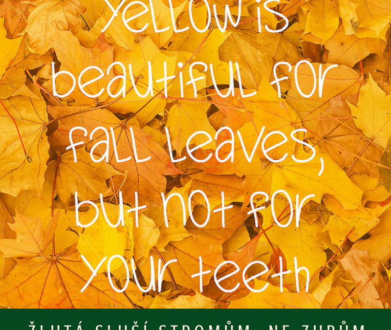 Žlutá sluší podzimním stromům, ne vašim zubům!